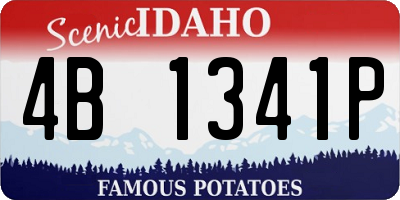 ID license plate 4B1341P