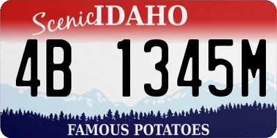 ID license plate 4B1345M