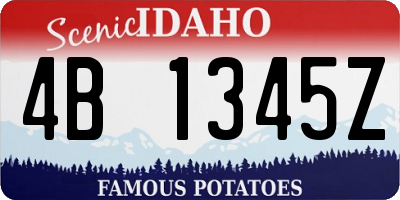 ID license plate 4B1345Z