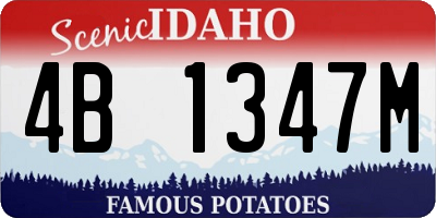 ID license plate 4B1347M