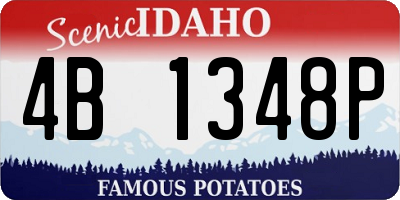 ID license plate 4B1348P