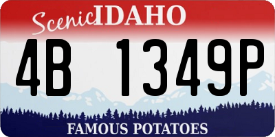 ID license plate 4B1349P