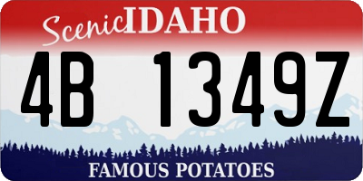 ID license plate 4B1349Z