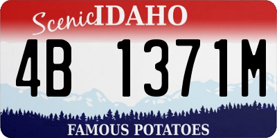 ID license plate 4B1371M