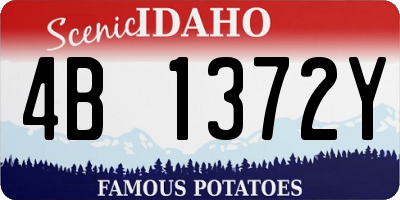 ID license plate 4B1372Y