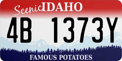 ID license plate 4B1373Y
