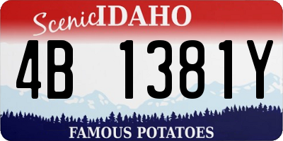 ID license plate 4B1381Y
