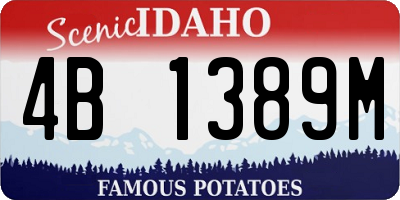 ID license plate 4B1389M