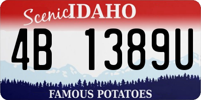 ID license plate 4B1389U