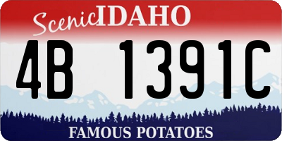 ID license plate 4B1391C