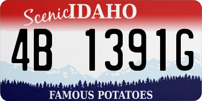 ID license plate 4B1391G
