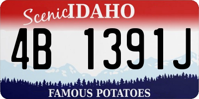 ID license plate 4B1391J