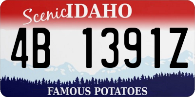 ID license plate 4B1391Z