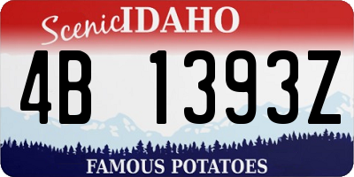 ID license plate 4B1393Z