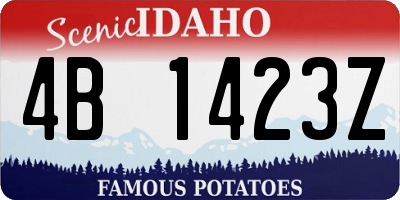 ID license plate 4B1423Z