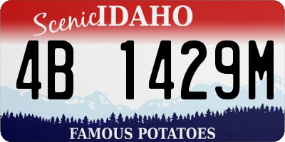ID license plate 4B1429M