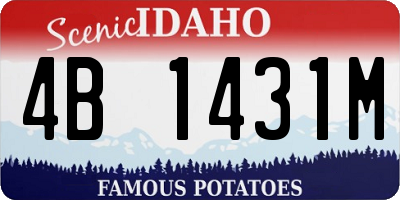ID license plate 4B1431M