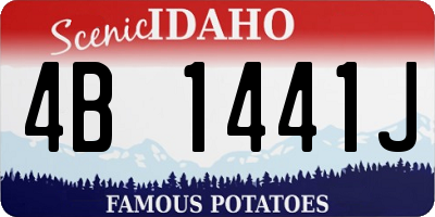 ID license plate 4B1441J