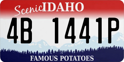 ID license plate 4B1441P