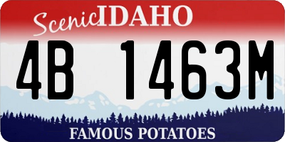 ID license plate 4B1463M
