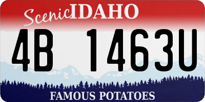ID license plate 4B1463U