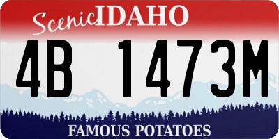 ID license plate 4B1473M