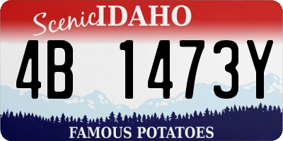 ID license plate 4B1473Y