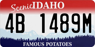 ID license plate 4B1489M