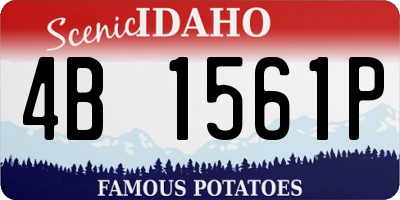 ID license plate 4B1561P