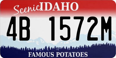 ID license plate 4B1572M
