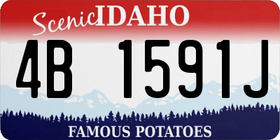 ID license plate 4B1591J