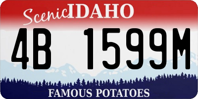 ID license plate 4B1599M