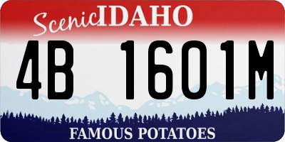 ID license plate 4B1601M