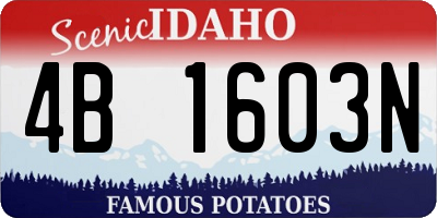 ID license plate 4B1603N