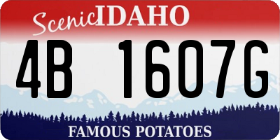 ID license plate 4B1607G