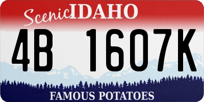 ID license plate 4B1607K
