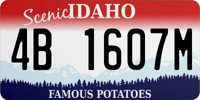 ID license plate 4B1607M