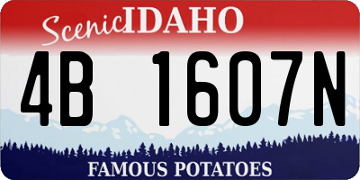 ID license plate 4B1607N