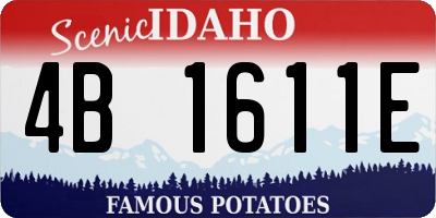 ID license plate 4B1611E