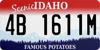 ID license plate 4B1611M