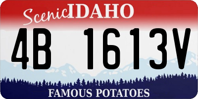 ID license plate 4B1613V