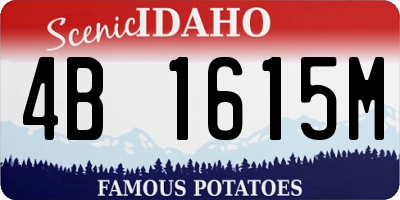 ID license plate 4B1615M