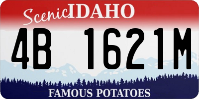 ID license plate 4B1621M