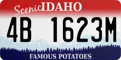 ID license plate 4B1623M