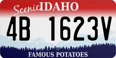 ID license plate 4B1623V