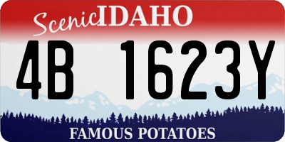 ID license plate 4B1623Y