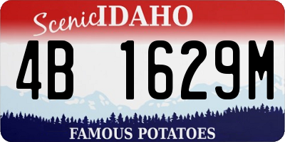 ID license plate 4B1629M