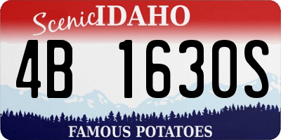 ID license plate 4B1630S