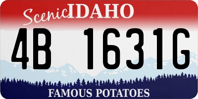 ID license plate 4B1631G