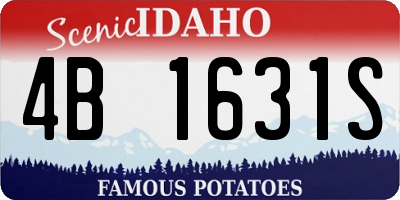 ID license plate 4B1631S